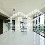 Cho thuê căn hộ diamond centery 3pn (120m2, 121m2) - dự án celadon city tân phú
