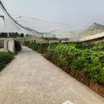 Bán vài lô đất bê tông thông điện biên phủ và nguyễn tất thành 2 ô tô tránh nhau