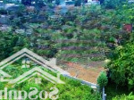 Cần bán nhanh 66m vị trí đẹp đường thông gần sát công nghệ cao hòa lạc giá 2 tỷ xíu