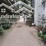 Bán 70.3m2 đất viện rau, hvnn việt nam, trâu quỳ ,gia lâm, đường ô tô 7 chỗ thông,giá 7 tỷ
