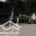 Cho thuê biệt thự vườn đào, 125 triệu/th, 400m2, 5pn, 4wc, nội thất cơ bản
