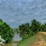 Cần tiền nên muốn bán nhanh 625m2 ctln ngay gần đường nguyễn văn trỗi trung tâm thị trấn ma lâm