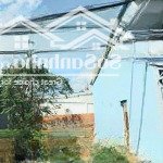 Bán gấp lô đất 82,6m2 shr, phước vĩnh an, củ chi. giá 1,4 tỷ