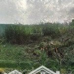 Cần bán gấp lô đất đẹp, mặt tiền đường nhựa lớn, ấp hội tân, xã tân hội, tân châu, tỉnh tây ninh