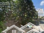 Hàng hiếm||nền đất mặt tiền đường chính kdc thanh nhựt 16m|| ngang trên 6m vuông vức