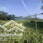 Bán đất 200m2 tại nhơn tân, an nhơn, bình định, giá 350 triệu