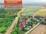 Hot! ninh trung, ninh hòa, khánh hòa, 330 triệu, 167 m2 (có 60m2 thổ cư) sát bên cao tốc