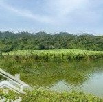Bán 8632 m2 đất tại thành tân - thạch thành - thanh hoá