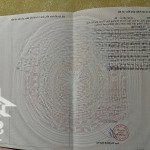 Chính chủ cần bán gấp lô đất thôn đông thai xã vân tảo dt=50 m2 nở hậu nằm ở trục chính của làng