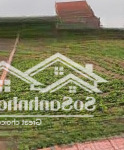 Bán gấp 82m đất thị trấn quất lâm , mặt tiền đẹp vị trí đắc địa đầu tư sinh lời nhanh!