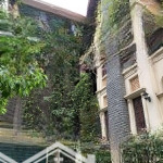 Biệt thự võng thị - thuỵ khuê - lạc long quân lô góc - 2 thoáng sáng, 151m2x 5t, giá nhỉnh 36 tỷ.