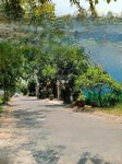 Bán biệt thự 240m2 10 x 24m mặt tiền 12m kdc đại phúc, xã bình hưng, bình chánh. shhc giá: 22tỷ8 tl