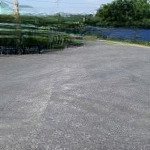 Bán đất trục đường nguyễn thiện thuật tx mỹ hào