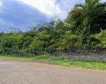 Bán nhà vườn 1617 mét vuông, đầy đủ nội thất