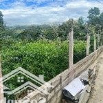 đất ba trại. tài chính chỉ hơn 2 tỷ, sở hữu ngay 720m2 đất tại ba trại - ba vì. 0988908583