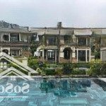 Biệt thự the valley thạch thất 8pn, 6wc, 450m2 tại tiến xuân, thạch thất, hà nội, giá 26 tỷ