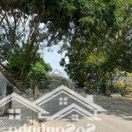Chủ kẹt tiền cần ra đi gấp lô đất mặt tiền, ngay khu đông dân cư, tiện ích đầy đủ, sổ sẵn
