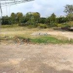 Bán đất tân mỹ gần vinhome 1 sẹc bàu công 175m2 thổ cư có sổ hồng riêng giá 1 tỷ450tr lh:0937866293