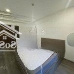 Chung cư botanica premier, hồng hà, tân bình: 80m2 - 2p ngủ, nt, 17tr/th