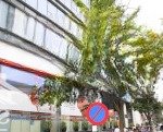 Lô góc trần hưng đạo hk 92m2, mt 9,2m vỉa hè rộng mênh mông