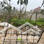 Chính chủ cần bán 2 lô tại thôn phương chử bắc xã trường thành an lão
