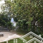 Cho thuê gấp biệt thự tại khu biệt thự western land mỹ phước, đầy đủ nội thất 14 triệu vnd, 500m2
