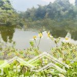 Bán lô đất bám hồ tuyệt đẹp tại tiến xuân, thạch thất - 1797m2 (trên thực tế 1825m2), có 400m2 ont