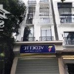 Cho thuê nhà mặt phố láng hạ, dt 110m2 x 7 tầng, mt 6m, thang máy, riêng biệt, kinh doanh đỉnh