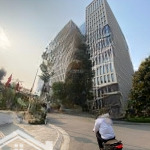 Chú long bca về hưu cần bán tòa building phố dịch vọng hậu lô góc 200m2 7tầng nổi 1 hầm vip nhất cg