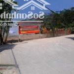 Ngang khủng!!! 17x11 thổ cư mt đường số 384 tân an hội giá chỉ 840tr
