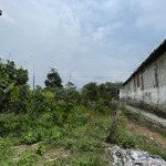 Chính chủ bán đất thôn bạch thạch, hòa thạch, quốc oai hà nội.