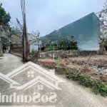 Cần bán 89m2 xóm 4 hải bối đường sắp trải nhựa.