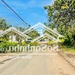 Hàng ngon! nền đất đẹp 200m2, sát trục liên phường - kdc kiến á chỉ 80 tr/m2 - liền kề global city