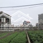 Bán đất 82m2, 2,9 tỷ tại xã chương dương, huyện thường tín, hà nội. mặt đường 4m ô tô vào tận đất