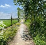 Chính chủ bán nhanh lô đất vị trí đắc địa tại xã lý nhơn, huyện cần giờ, tp hồ chí minh