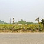 đất rộng mặt đường quốc lộ, làm nhà hàng, kho xưởng cực kỳ hợp lý