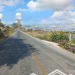 Bán đất lúa giá rẻ. mặt tiền 817 xã long thuận huyện thủ thừa. tỉnh long an
