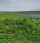 Bán đất 150m2, tc shr, đ. huỳnh văn nghệ, đối diện sân bay quân đội biên hòa, đồng nai