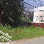 Bán nhanh đất ở nguyễn thị minh khai,phước bình,phước long,bình phước 120m2/500tr shr thổ cư 100%