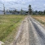 Bán đất tại phuoc vân cần đước long an