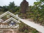 Hàng hiếm tại con gà vàng, 2,2 tỷ, 156m2, đất có thổ cư pháp lý an toàn cho anh chị đầu tư