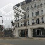 Cần bán mặt trục chính louis 1 louis city đại mỗ 120m2 giá 37 tỷ lh mr dân
