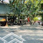 Phân lô, ô tô tránh, vỉa hè, kinh doanh 66m2x5t, mt 4m trần nguyên đán