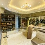 ô tô tránh vào nhà nhiều lối, 15m ra phố. 62m2, 5 tầng thang máy. giá chuẩn 21,3 tỷ (thương lượng)