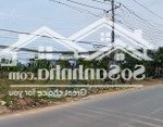 Chính chủ mắc bịnh hiểm nghèo cần bay gấp lô đất 100m2 đường trương văn vĩnh, tân bình, dĩ an, bd