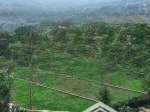 Bán đất 327m2 tại đường 21, thị trấn quốc oai, quốc oai, hà nội, giá 15 triệu vnd