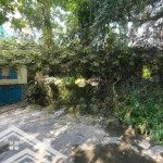 Bán biệt thự nhà vườn phố ngọc thụy, long biên, ô tô, sân vườn, mặt tiền rộng, 430m2, giá 62 tỷ