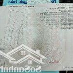Bán lô đất đường xương cá số (2) bên xã lý nhơn huyện cần giờ tphcm giá đầu tư