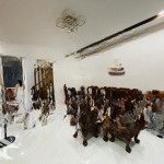 Bán nhà 3 tầng tđc hà quang 2- đường số 18a-phường phước hải- giá tốt