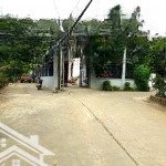 Rẻ nhất tân xã, hoà lạc. lô đất 65.3m2, full thổ đường ô tô tránh. lãi ngay khi mua. chỉ hơn 2 tỷ